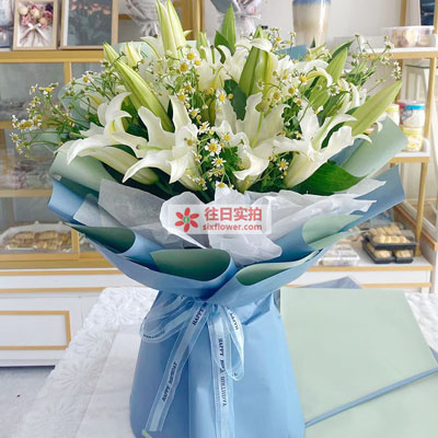 黔西南8支白色多头百合洋甘菊，互倾的思念