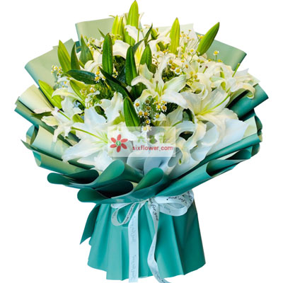 黔西南8支白色多头百合洋甘菊，如潮的思念