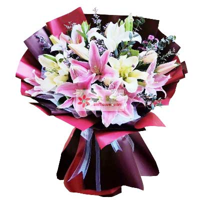 黔西南8支百合花，天天开心