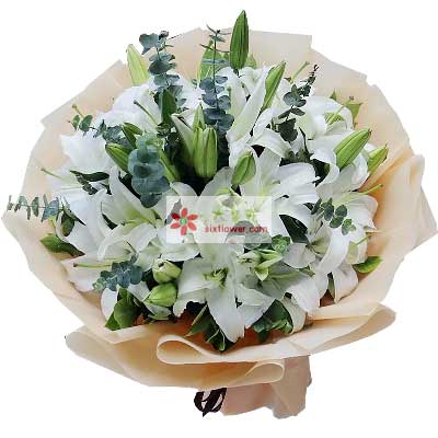 黔西南9支白色多头百合，祝福你幸福
